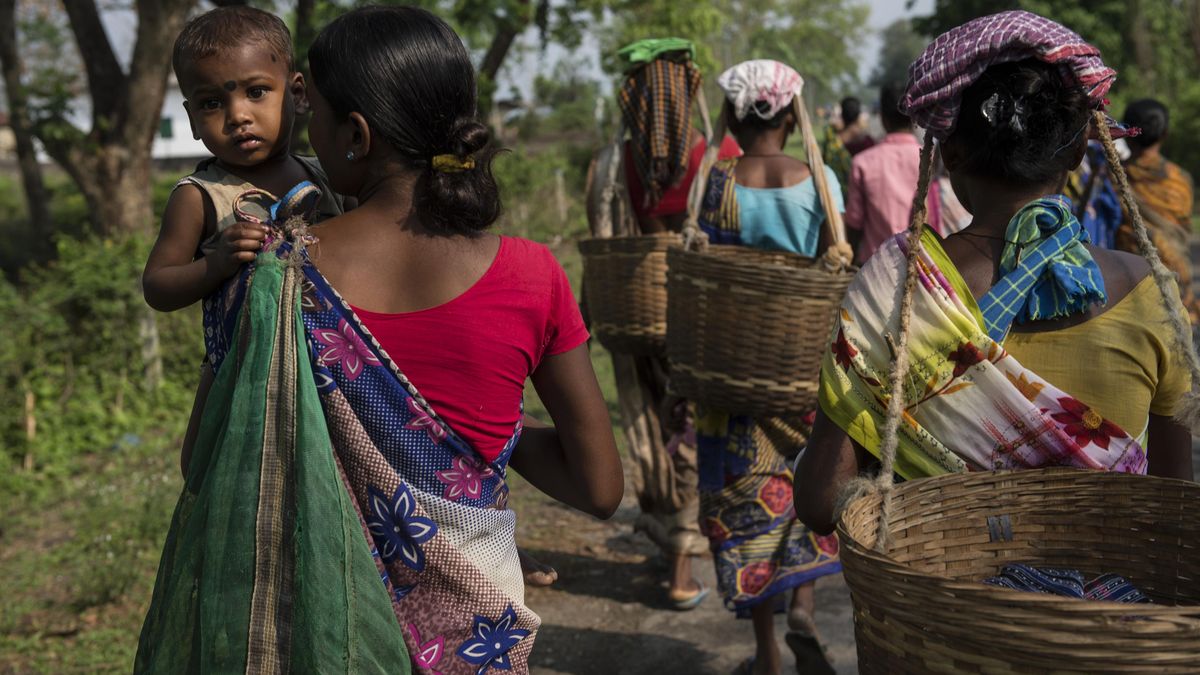 Práce ve vedru může zdvojnásobit riziko potratu, tvrdí výzkum z Indie
